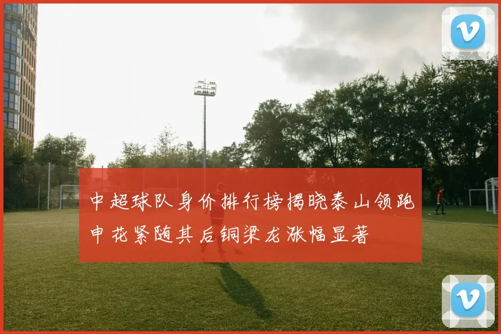 中超球队身价排行榜揭晓泰山领跑申花紧随其后铜梁龙涨幅显著